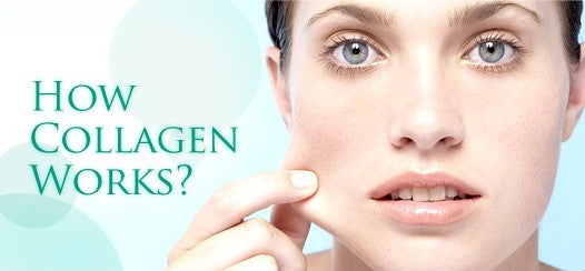 How Collagen Holds Your Skin Together?